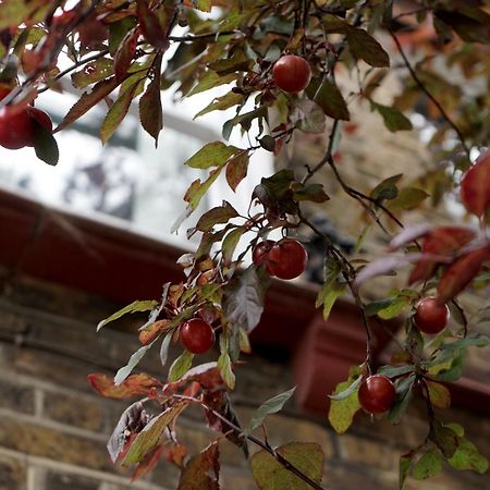 Beautiful London Home Sleeps 6, 2 Minutes To Metro 外观 照片