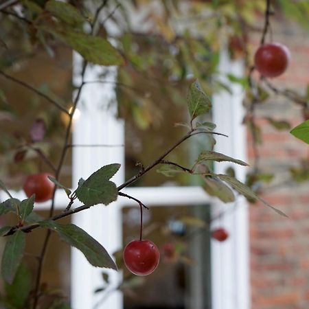 Beautiful London Home Sleeps 6, 2 Minutes To Metro 外观 照片