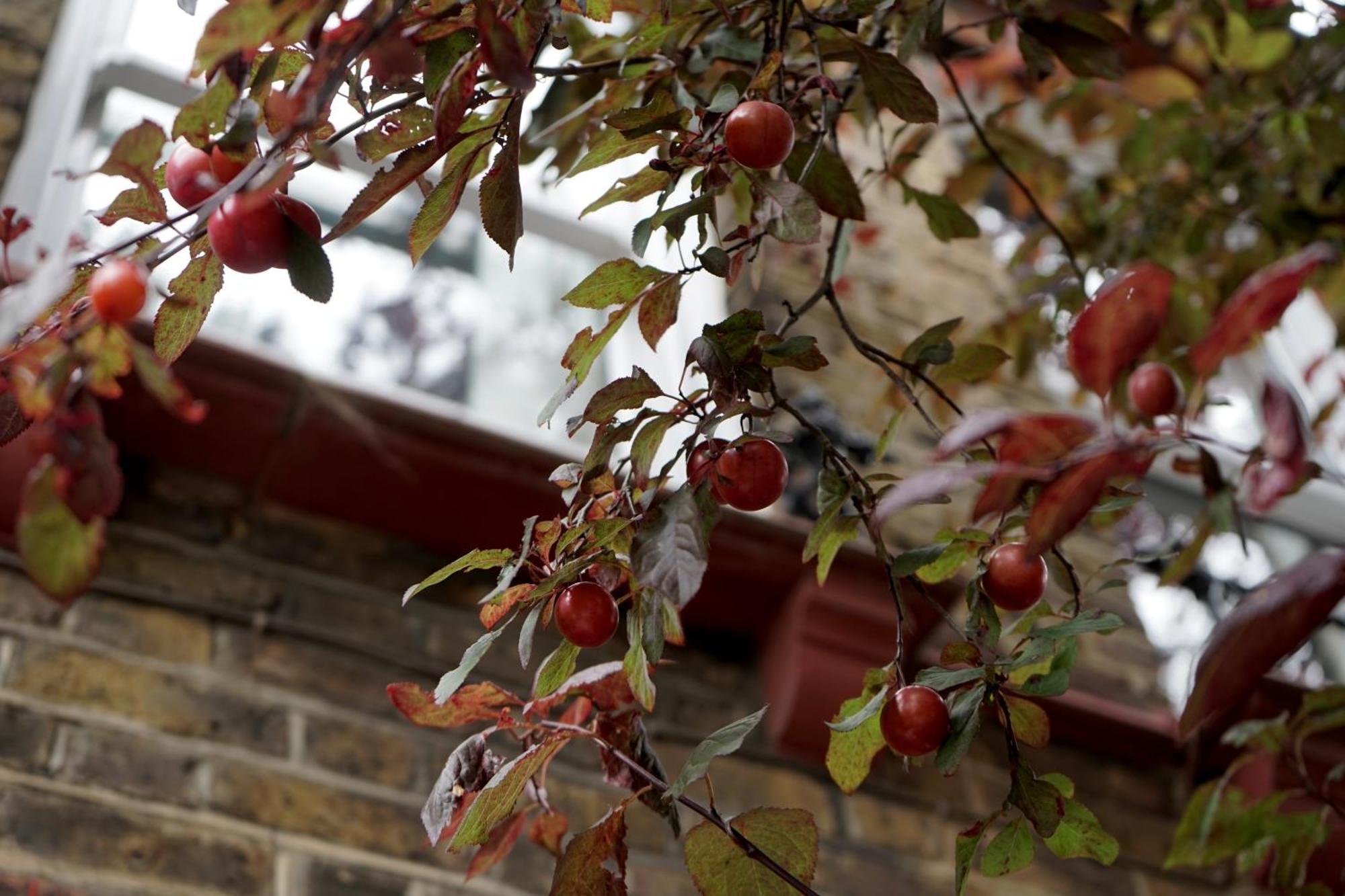 Beautiful London Home Sleeps 6, 2 Minutes To Metro 外观 照片