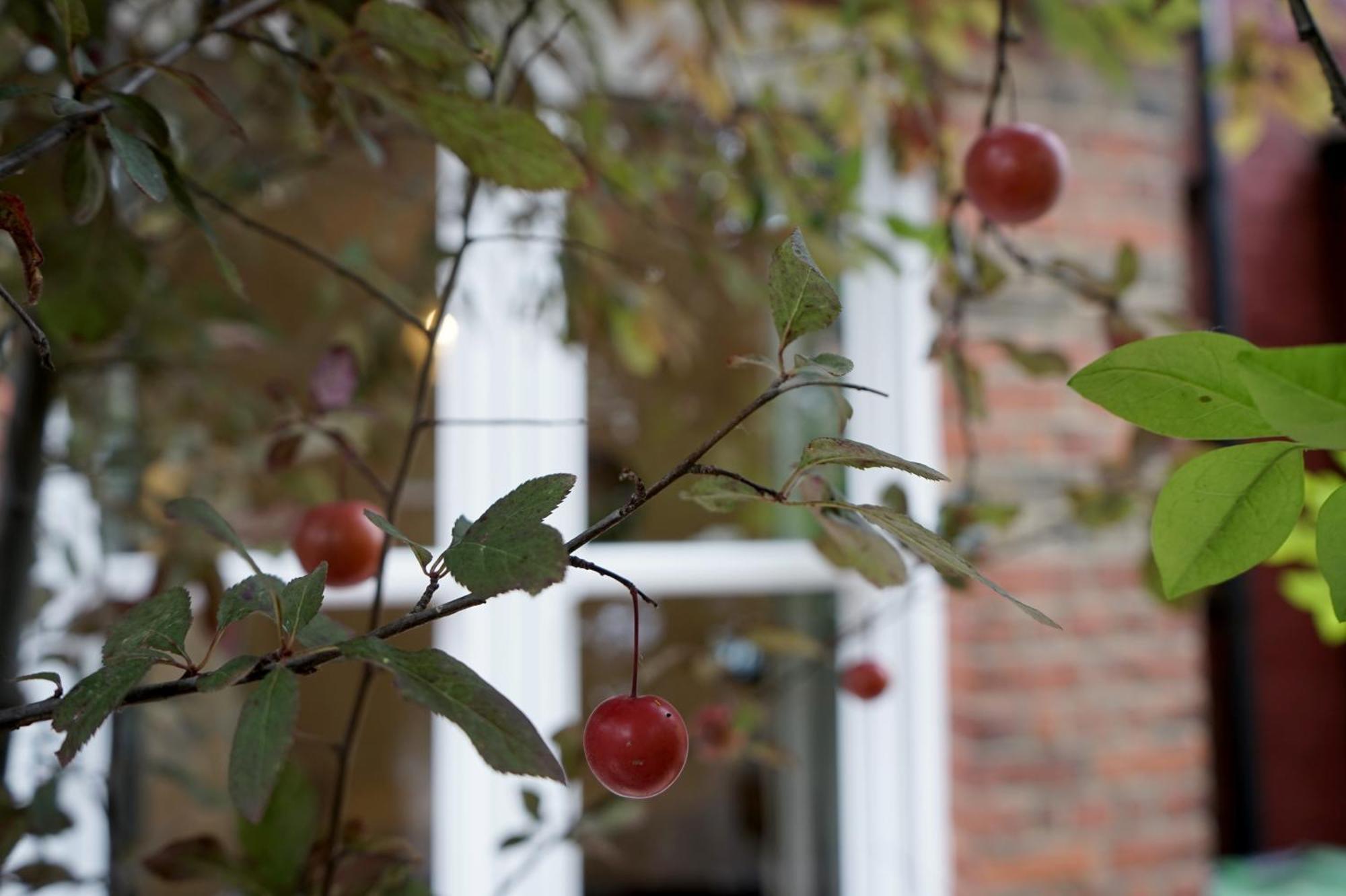 Beautiful London Home Sleeps 6, 2 Minutes To Metro 外观 照片